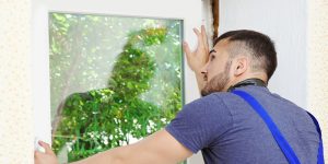 window replacement done by a professional