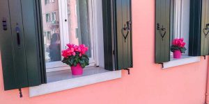 popularwindow ideas and trends